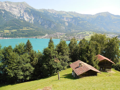 Am Brienzer See