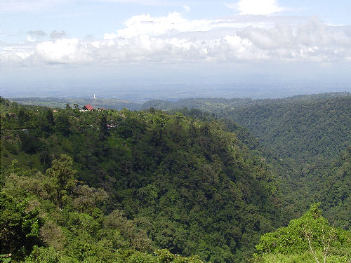 Blick Richtung Karibik