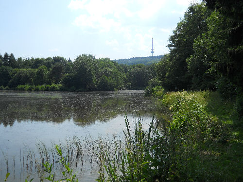 See bei Willebadessen