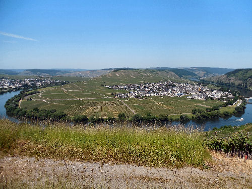 Aussicht auf Trittenheim