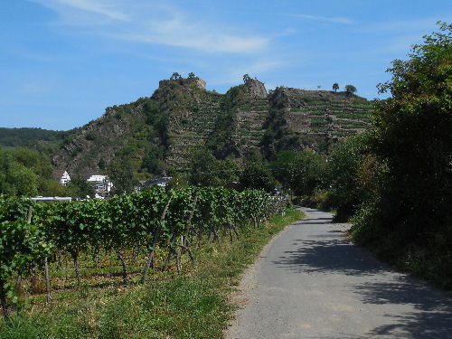 Wein-Berge
