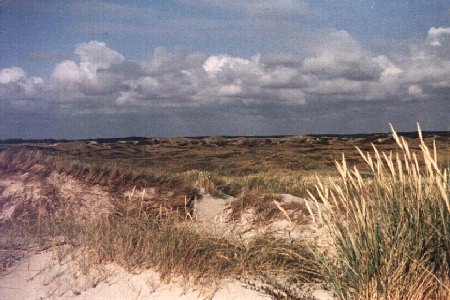 D&uuml;nenlandschaft in der N&auml;he von Esbjerg