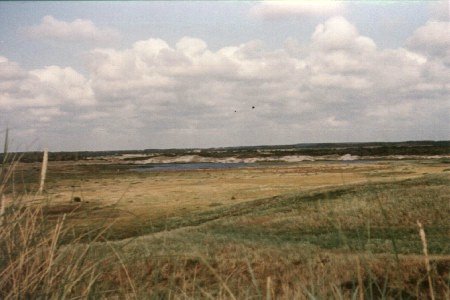 D&uuml;nenlandschaft in der N&auml;he von Esbjerg