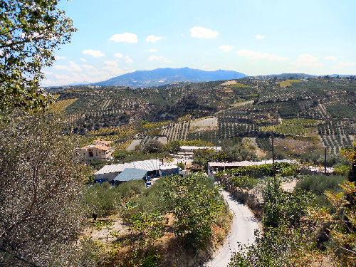 Landschaft auf Kreta