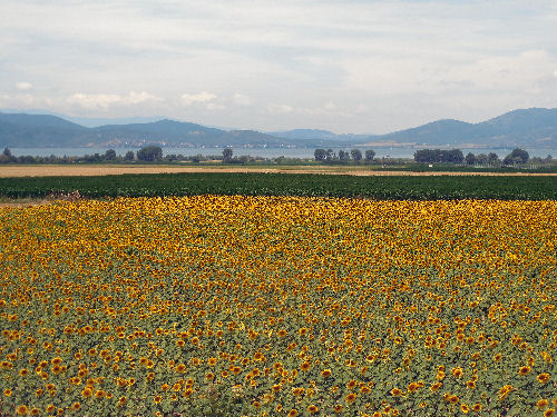 Doirani (Δοϊράνη) See
