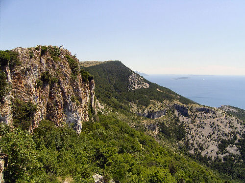Lubenice