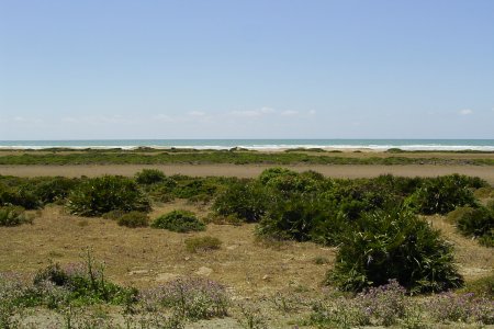 Küstenlandschaft