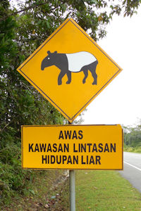 Vorsicht Gegend, in der Wildleben kreuzt