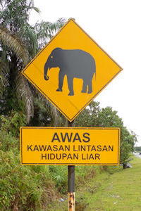 Vorsicht Gegend, in der Wildleben kreuzt