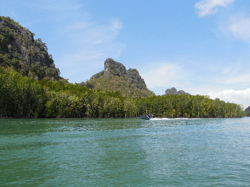 Bootstour durch die Mangroven