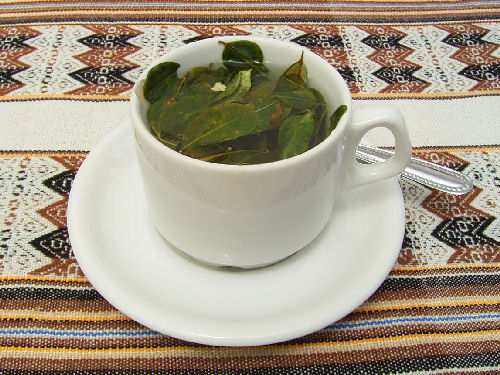 Mate de Coca in Bolivien