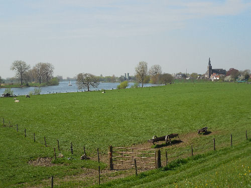An der Maas