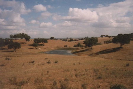 Landschaft im Alentejo