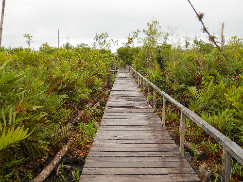 Wanderweg auf den Zapatillas