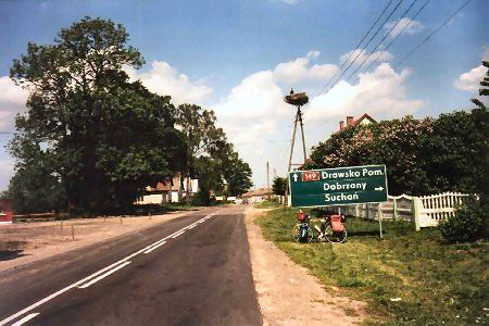 Storch