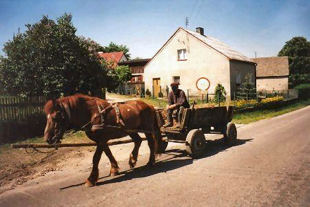 Pferdefuhrwerk
