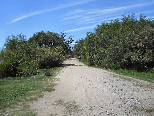 PN Reserva Ecol&oacute;gica Costanera