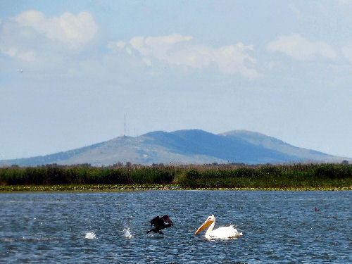 Im Delta (Beştepe im Hintergrund)