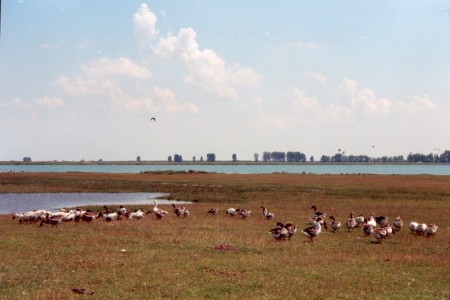 See bei Bistreţ