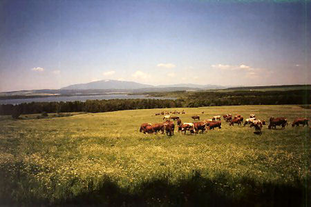 Orava-Stausee