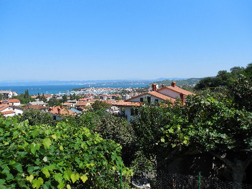 Blick auf Izola